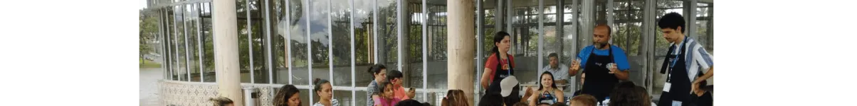 Instituto Lumiar